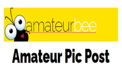 Amateur Bee - Logo